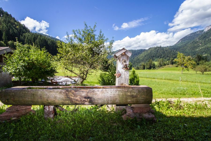 Holzbrunnen für Tiere mit Bergpanorama im Hintergrund