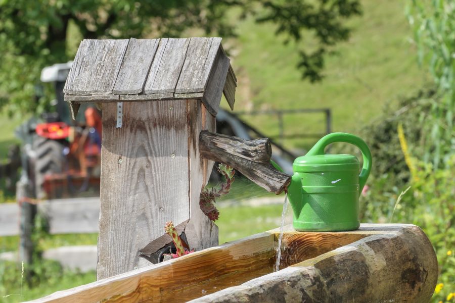Holzbrunnen für Tiere im Sommer